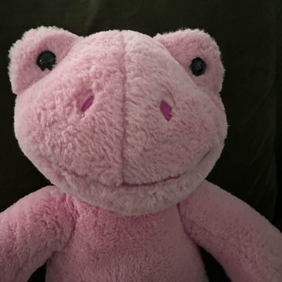 Build a bear pink frog plush - Picture 2 of 3